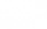 nink-experts